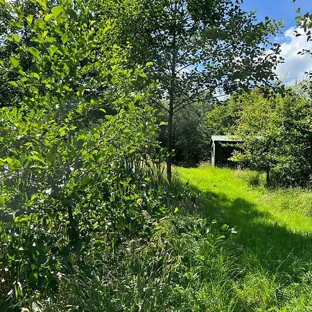 Newly Renovated With Private Trout Fishing Set In Beautiful Wildlife Estate *