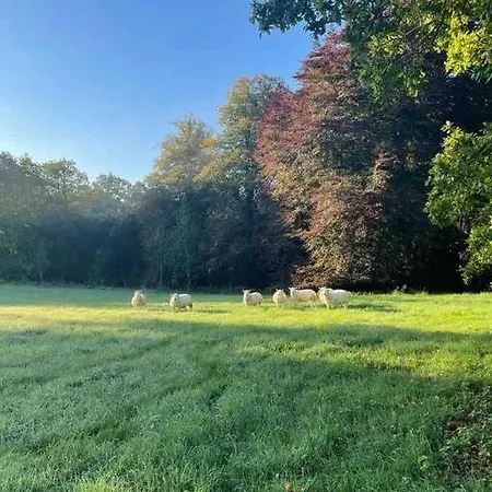 Newly Renovated With Private Trout Fishing Set In Beautiful Wildlife Estate