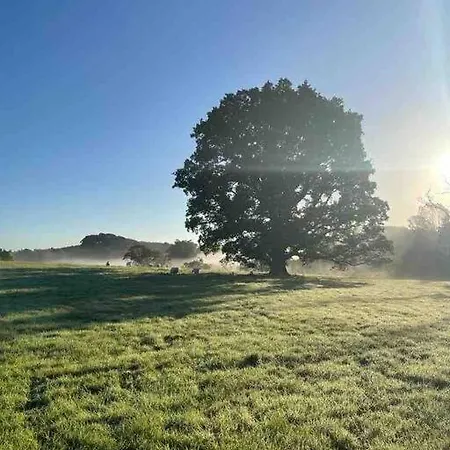 Newly Renovated With Private Trout Fishing Set In Beautiful Wildlife Estate Casa vacanze Monaghan