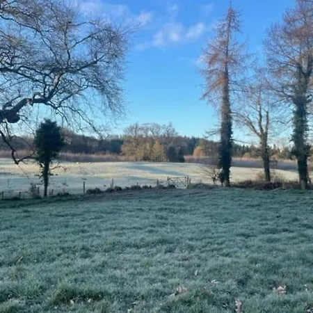 Newly Renovated With Private Trout Fishing Set In Beautiful Wildlife Estate Monaghan