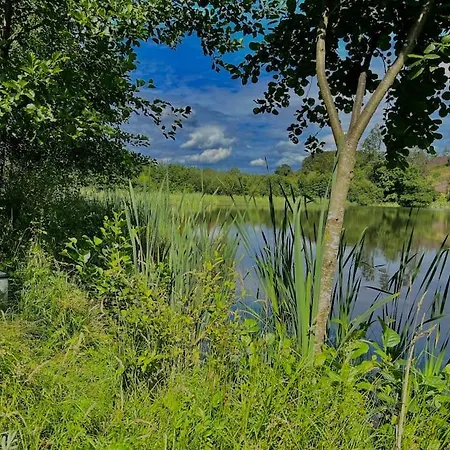 Newly Renovated With Private Trout Fishing Set In Beautiful Wildlife Estate *