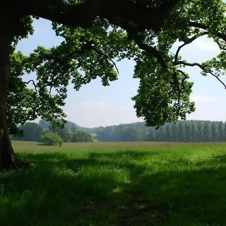 Newly Renovated With Private Trout Fishing Set In Beautiful Wildlife Estate *