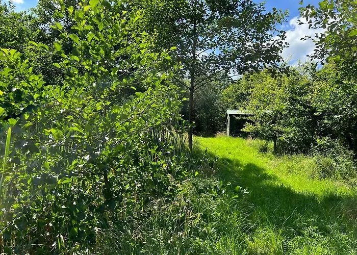 Newly Renovated With Private Trout Fishing Set In Beautiful Wildlife Estate *