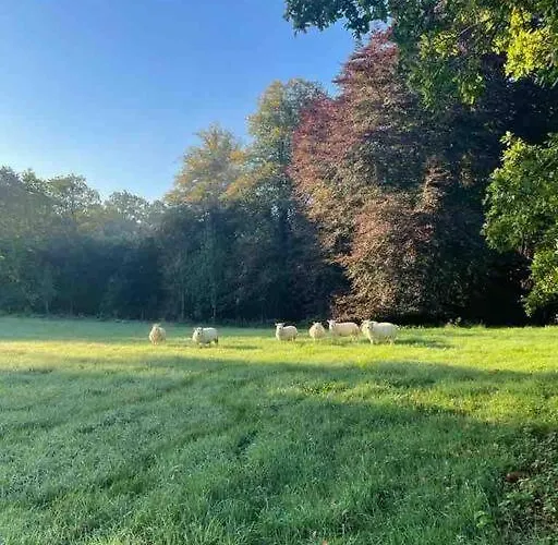 Newly Renovated With Private Trout Fishing Set In Beautiful Wildlife Estate