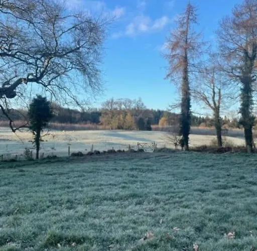 Newly Renovated With Private Trout Fishing Set In Beautiful Wildlife Estate Monaghan