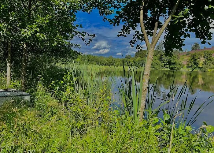 Newly Renovated With Private Trout Fishing Set In Beautiful Wildlife Estate *