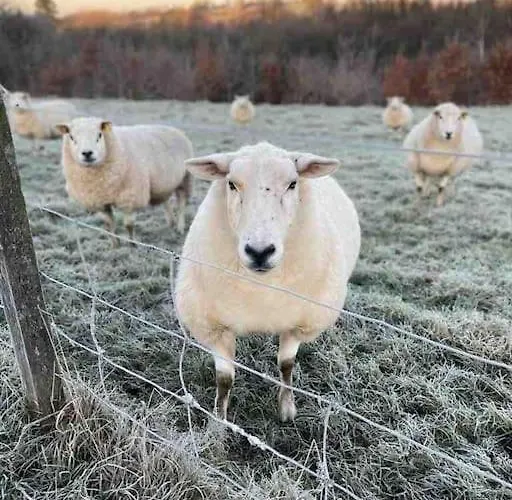 Newly Renovated With Private Trout Fishing Set In Beautiful Wildlife Estate *