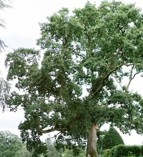 Дом отдыха Newly Renovated With Private Trout Fishing Set In Beautiful Wildlife Estate *