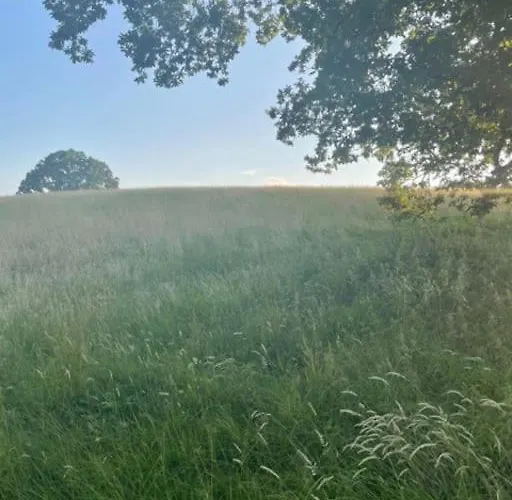 Newly Renovated With Private Trout Fishing Set In Beautiful Wildlife Estate Casa vacanze Monaghan